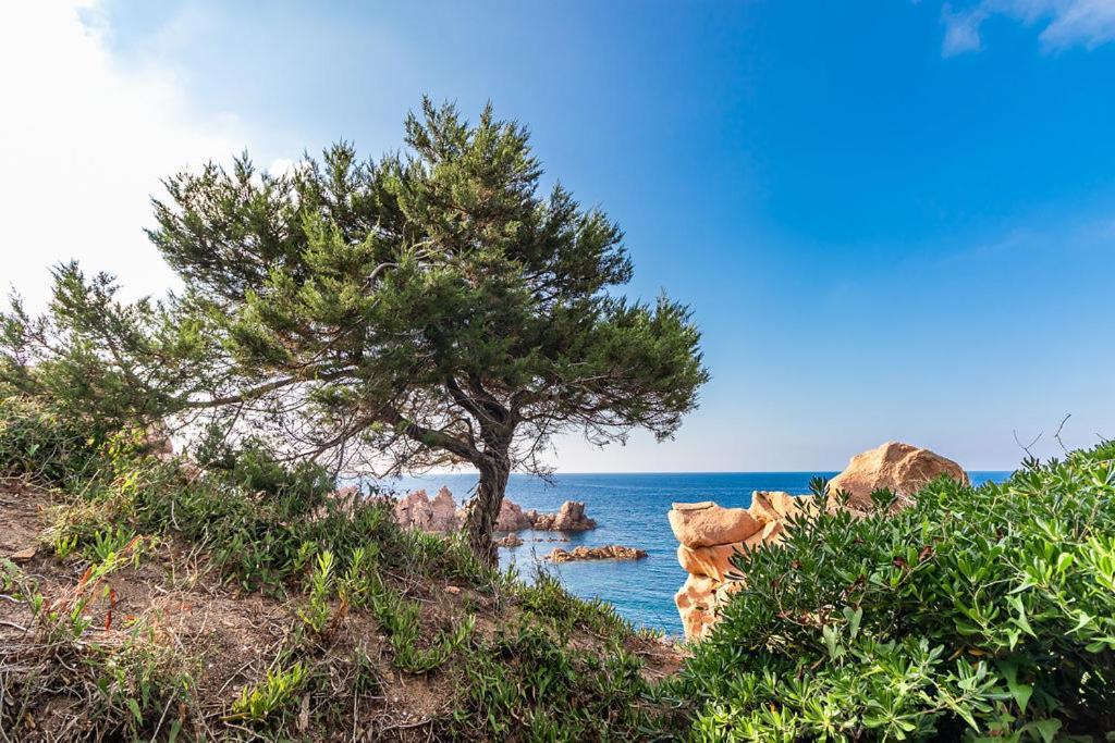 Stella Marina - Infinityholidays